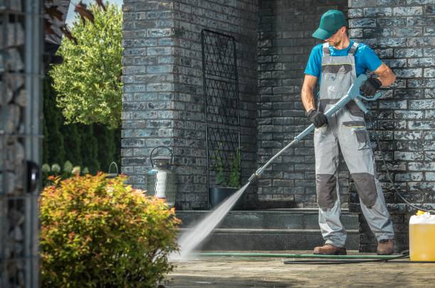Best Graffiti Removal  in Bear Valley Springs, CA